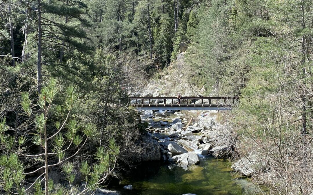 La vallée du Tavignanu 