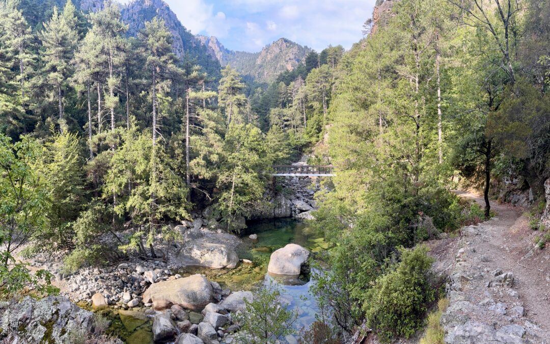 LA VALLÉE DU TAVIGNANU