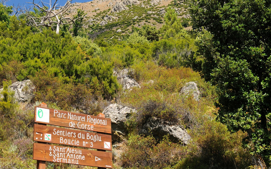 PARC NATUREL REGIONAL DE CORSE