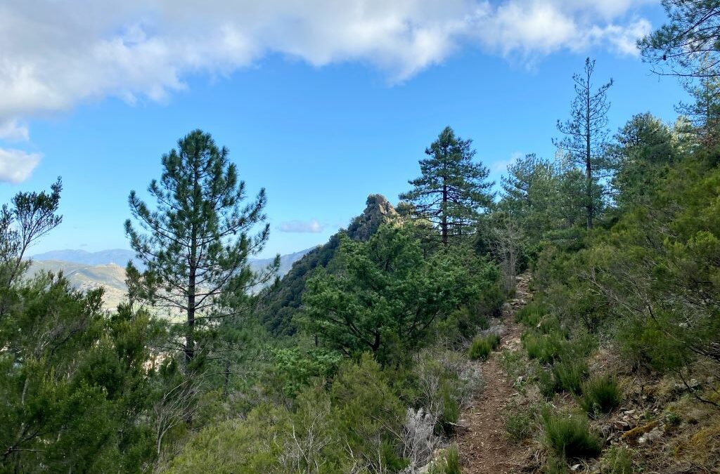 U CHJASSU DI SAN TEOFALU : PUNTA DI U CORBU ET PASSERELLE DE GHJARASGIOLU