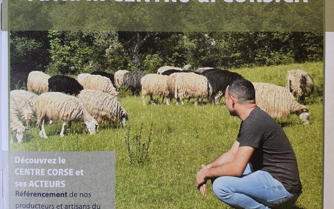 FATTU IN CENTRU DI CORSICA