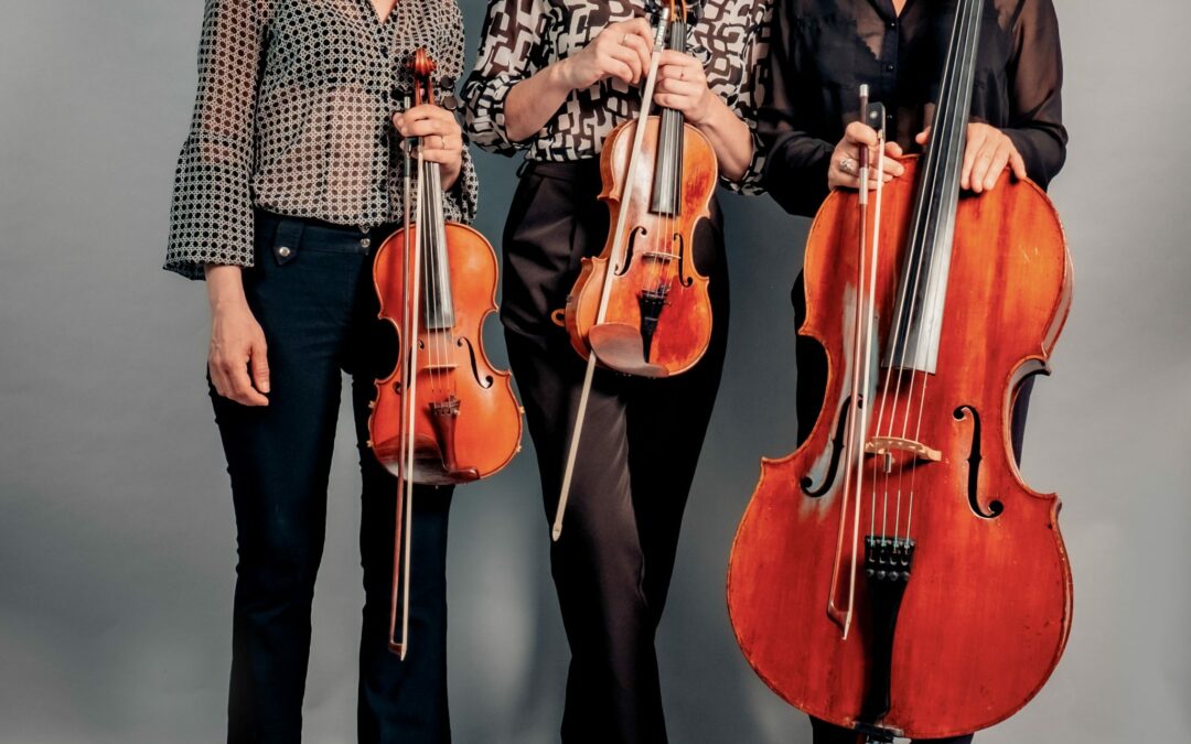 NUIT EUROPEENNE DES MUSEES 2025 : CONCERT DU TRIO ELIXIR