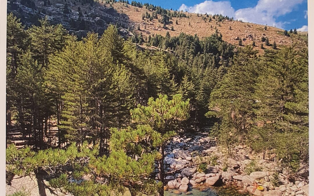 LE TAVIGNANU : UN JOYAU DU CENTRE CORSE
