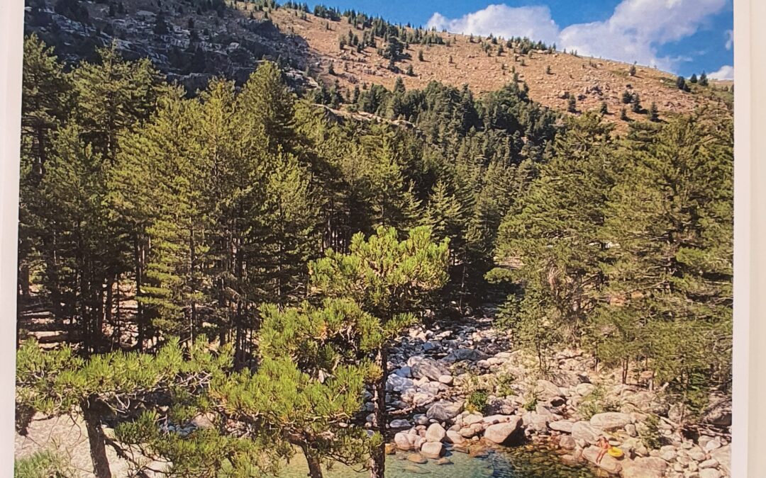 THE TAVIGNANU : A GEM OF CENTRAL CORSICA