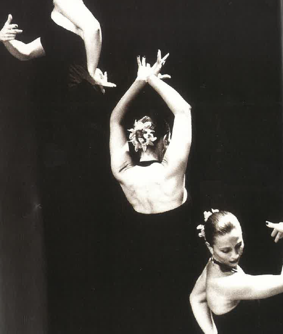 STAGE DE DANSE FLAMENCO