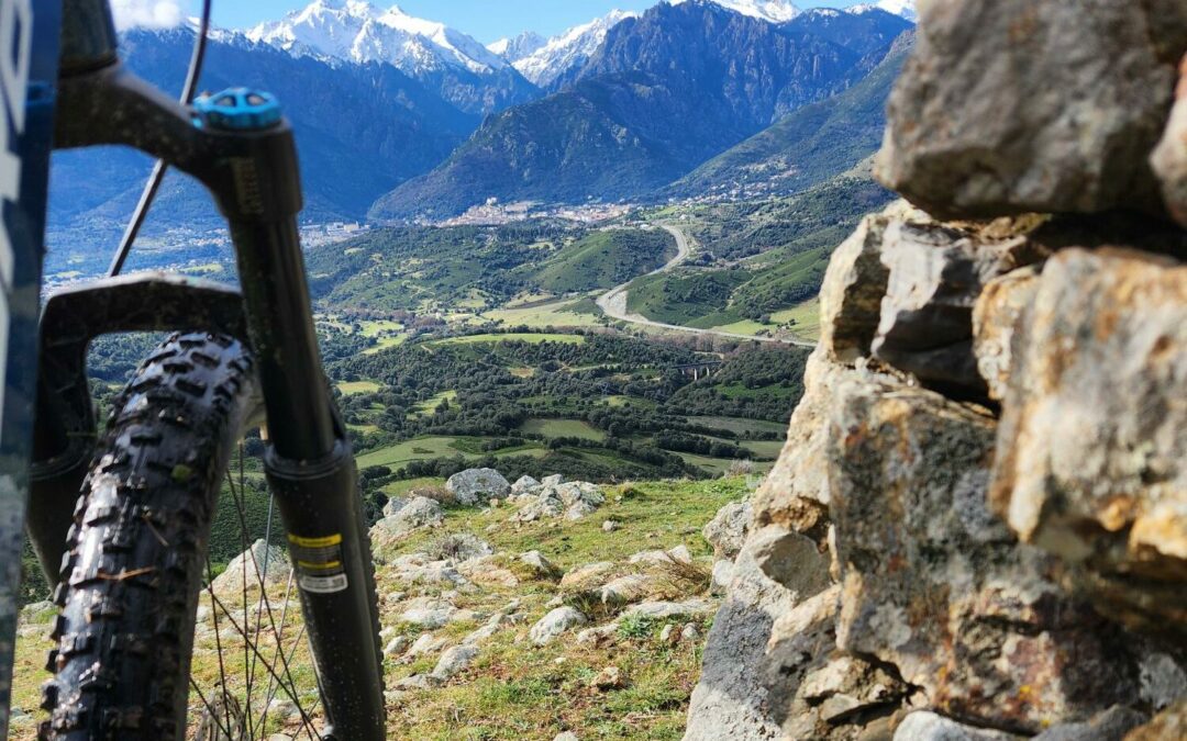 Vélo