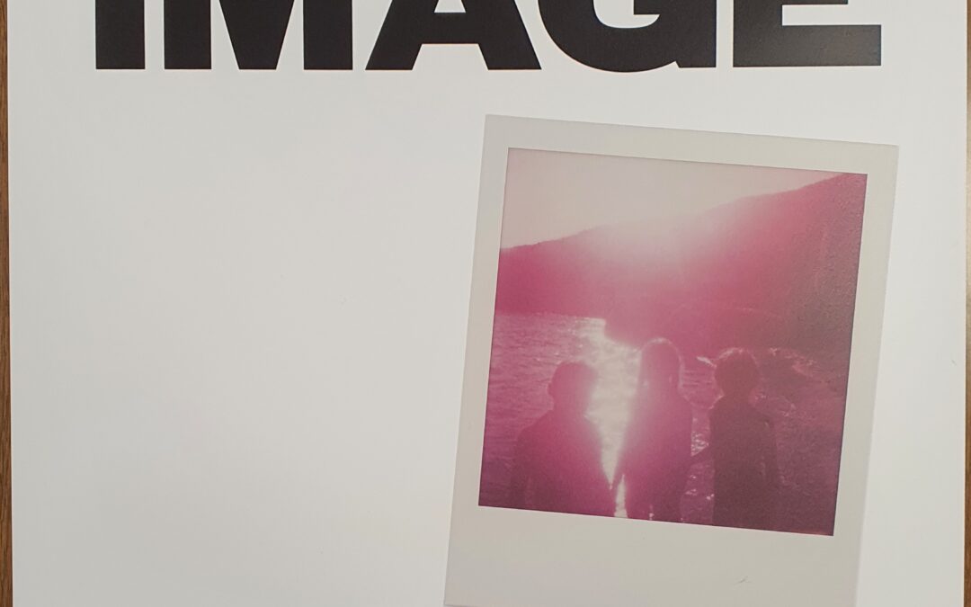 FRAC : « A LEUR IMAGE »