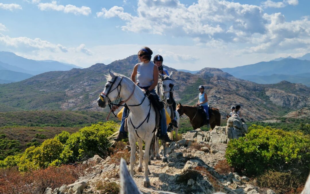 CENTRE EQUESTRE L&rsquo;ALBADU