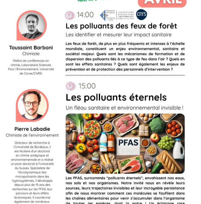 LES POLLUANTS DES FEUX DE FORET / LES POLLUANTS ETERNELS