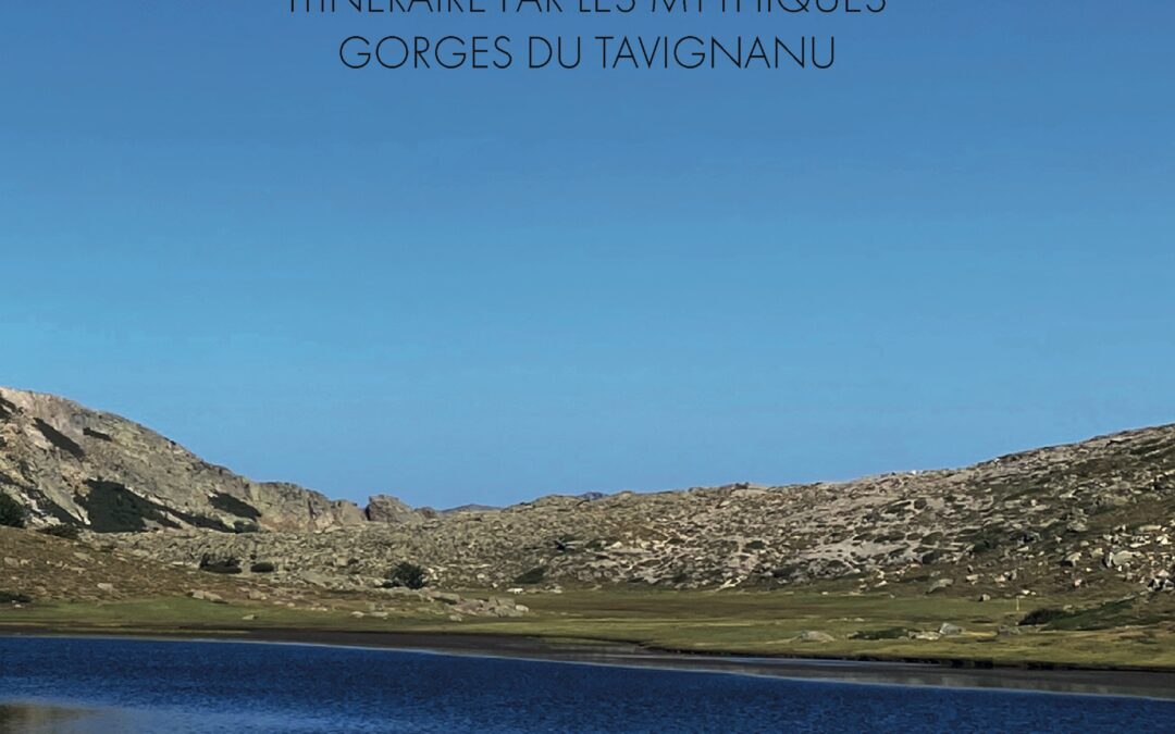 DU NIOLU  A CORTE