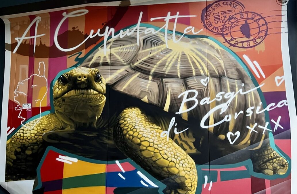 A CUPULATTA